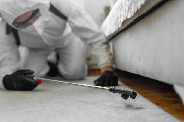 Professional Termite Control technician working in Ocean City, FL
