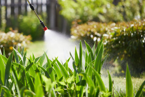 24/7 Emergency Termite Control experts in Ocean City, FL