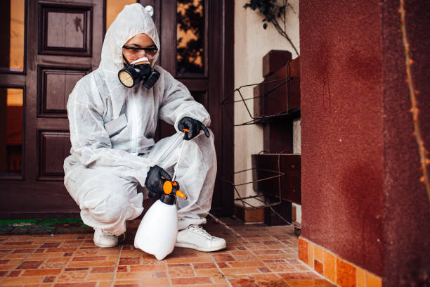 Reliable Termite Control contractor in Ocean City, FL by Nex Pest Control