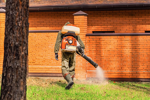Trusted Termite Control service in Ocean City, FL - Nex Pest Control